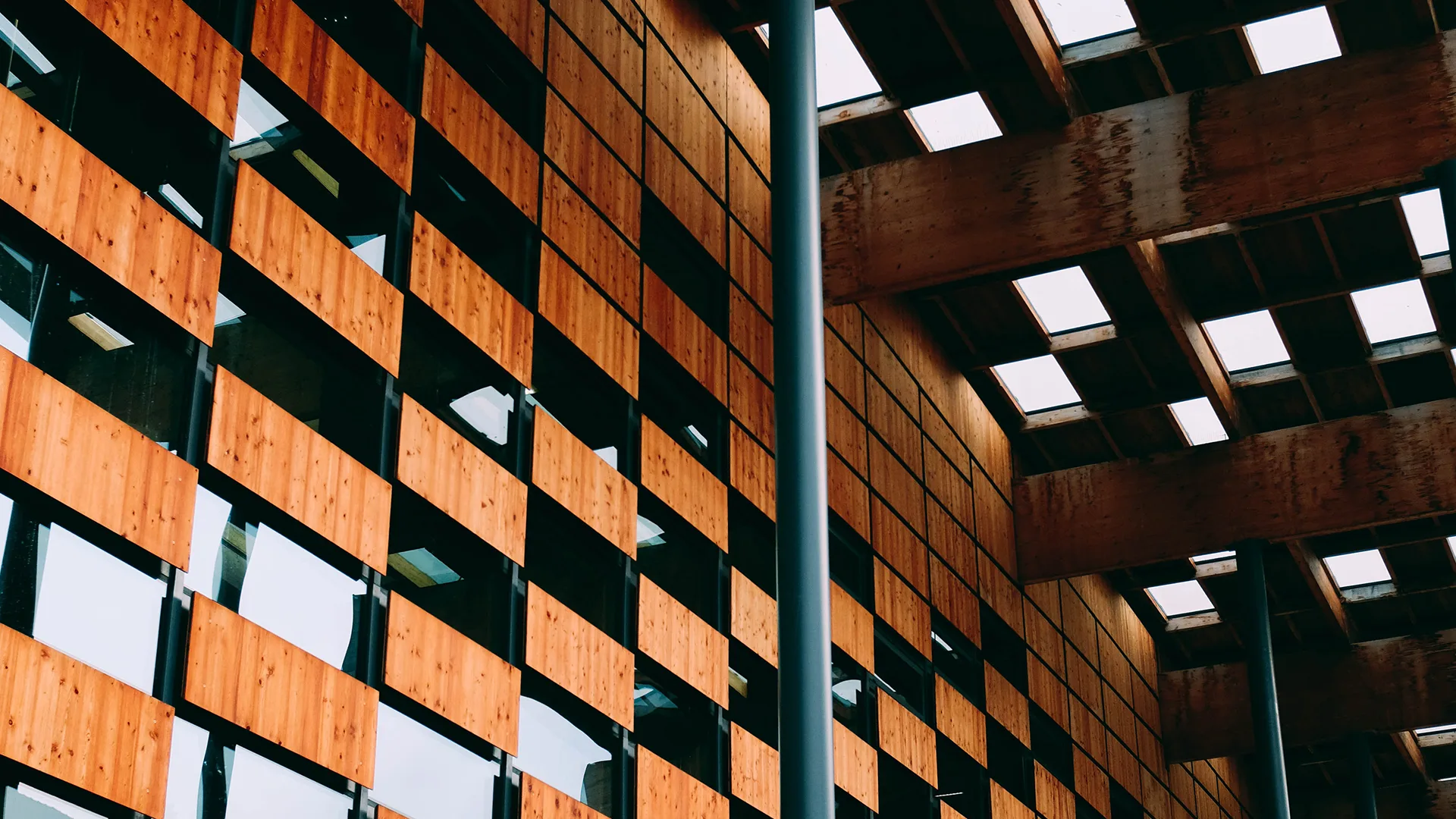 绿茵体育